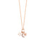 Star Moon Northstar Charm Necklace 925 Crt Sterling Silver Gold Plated Wholesale Turkish Jewelry